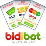 bidibot-160.jpg