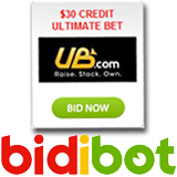 bidibot-ub-160.jpg