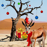 Springolph the Christmas Springbok Delivering Gifts to South African Casino Players